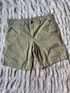 American Eagle Outfitters Flat-Front Shorts